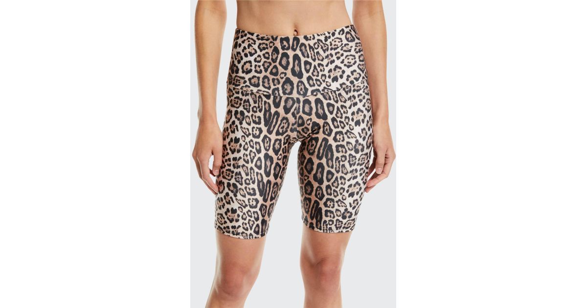 onzie leopard bike shorts