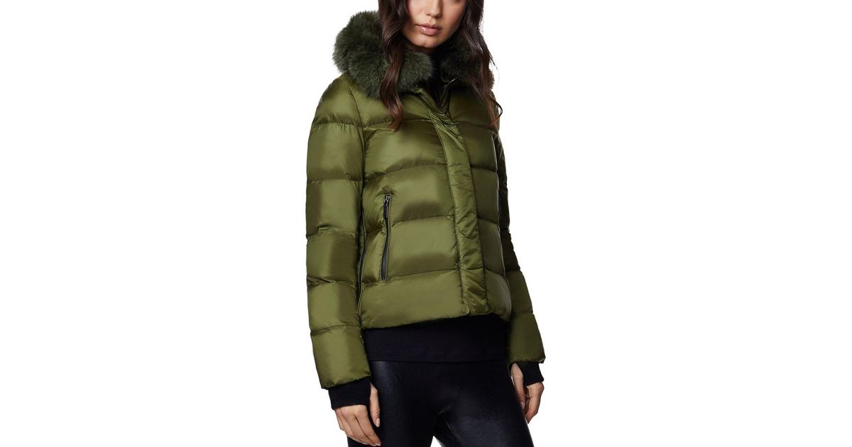 dawn levy vera jacket