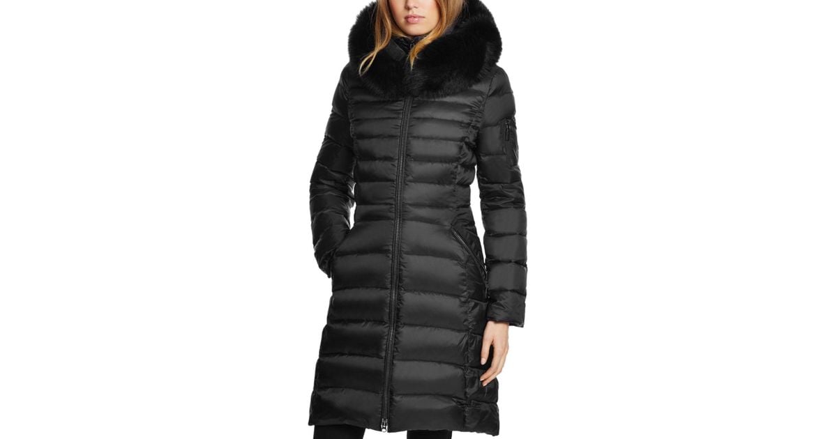 Dawn Levy Milly Coat 2024 carlabarba
