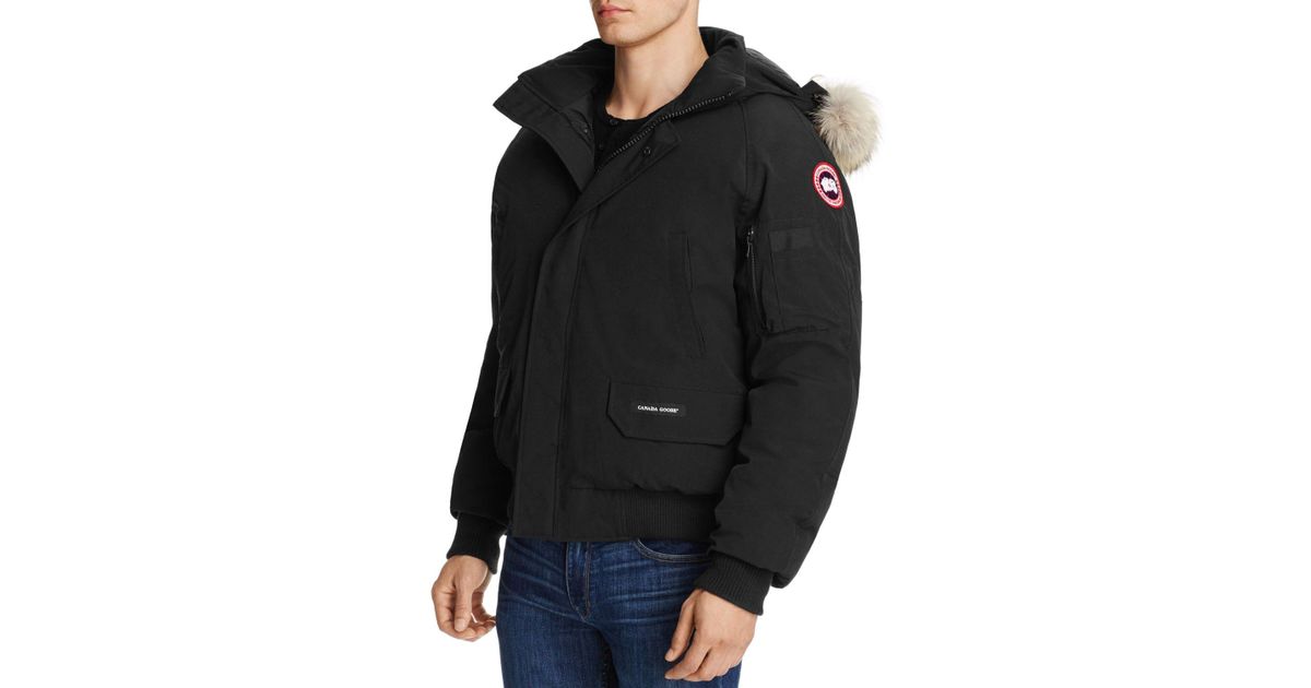 canada goose berwick