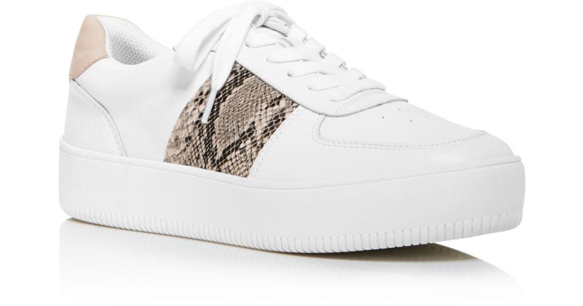 aqua platform sneakers