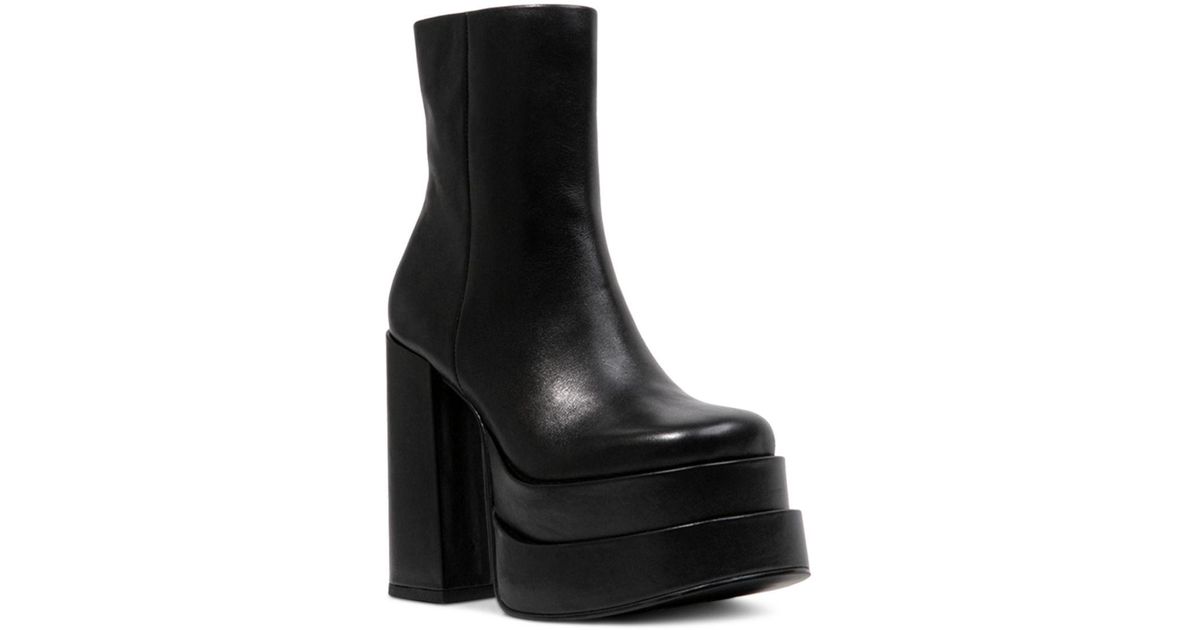 cobra steve madden