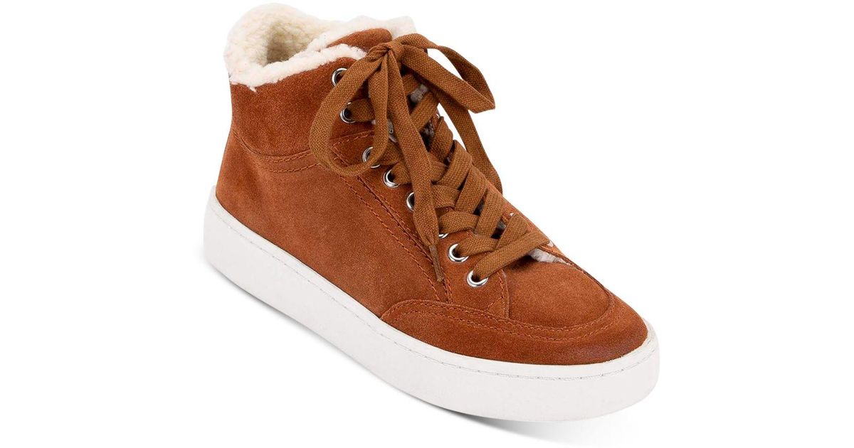 dolce vita high top sneakers