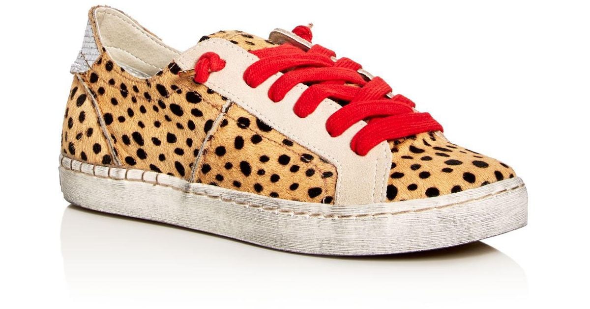 dolce vita zalen leopard sneakers