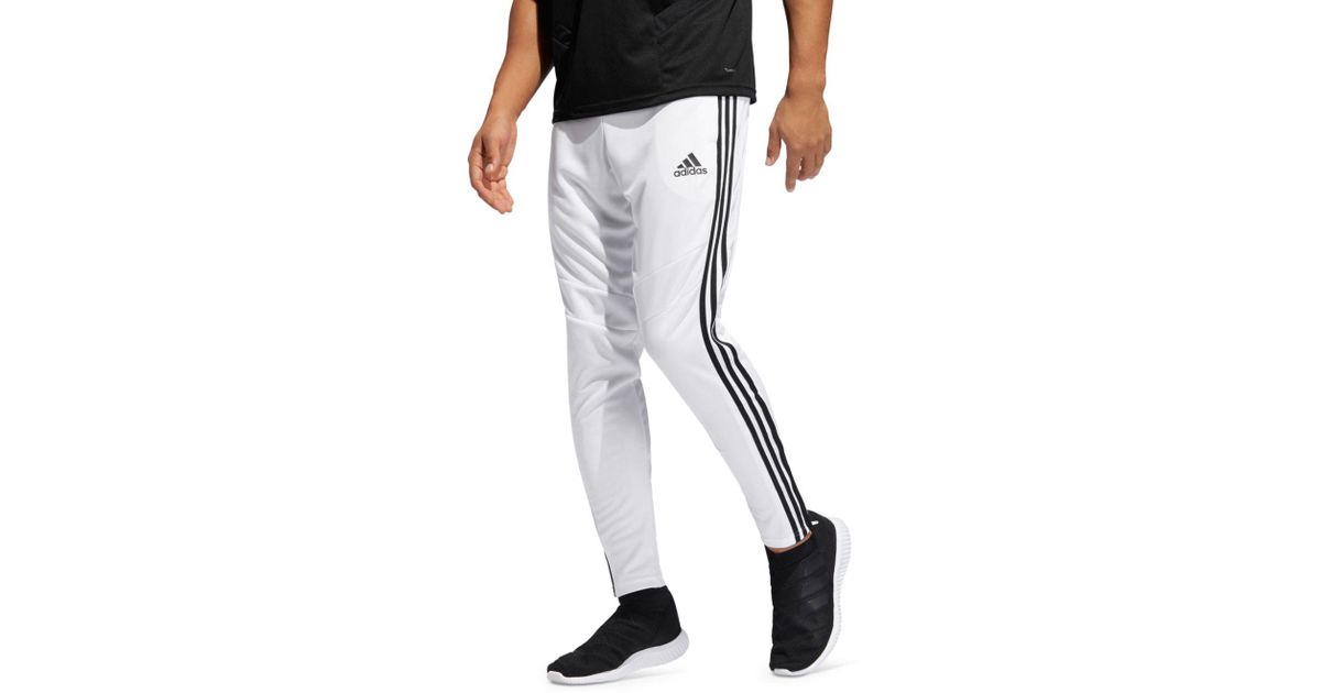 tiro 19 track pants