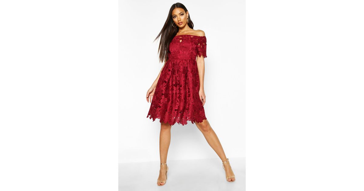 Lace Skater Dress 
