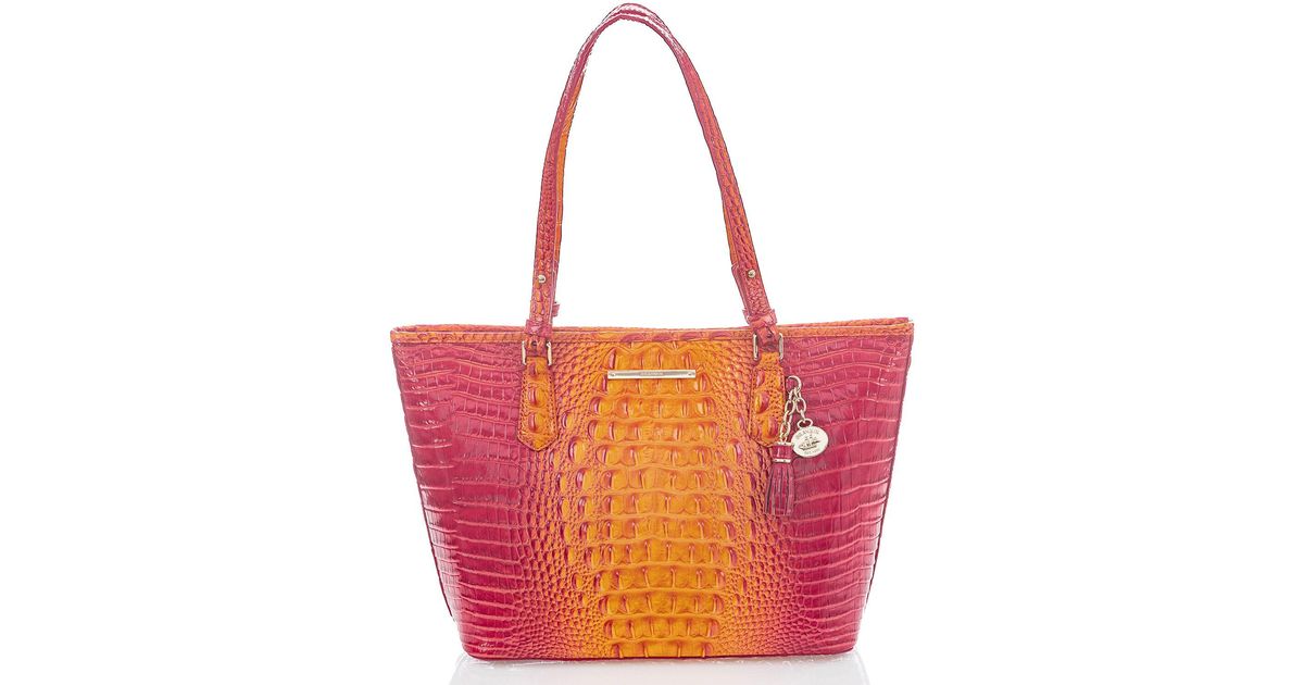 brahmin passion fruit handbag