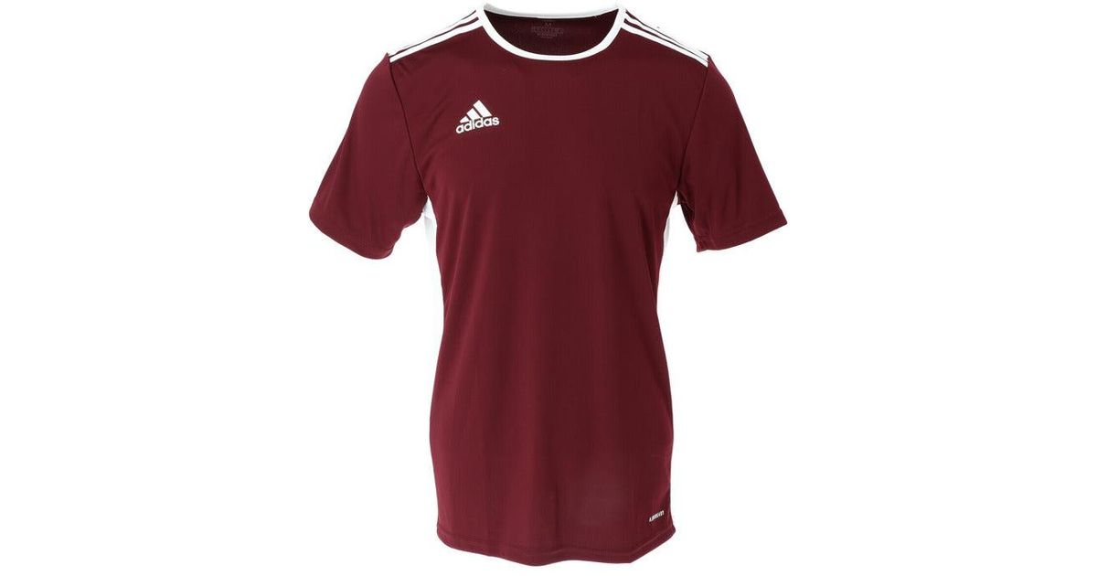 adidas Synthetic Men T-shirt in Bordeaux (Red) for Men - Save 59% | Lyst