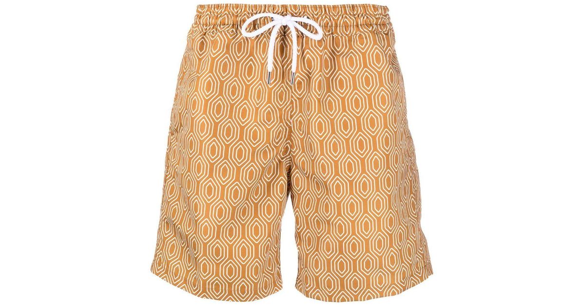 Frescobol Carioca Cotton Orange A Néova Board Swim Shorts in Brown for ...
