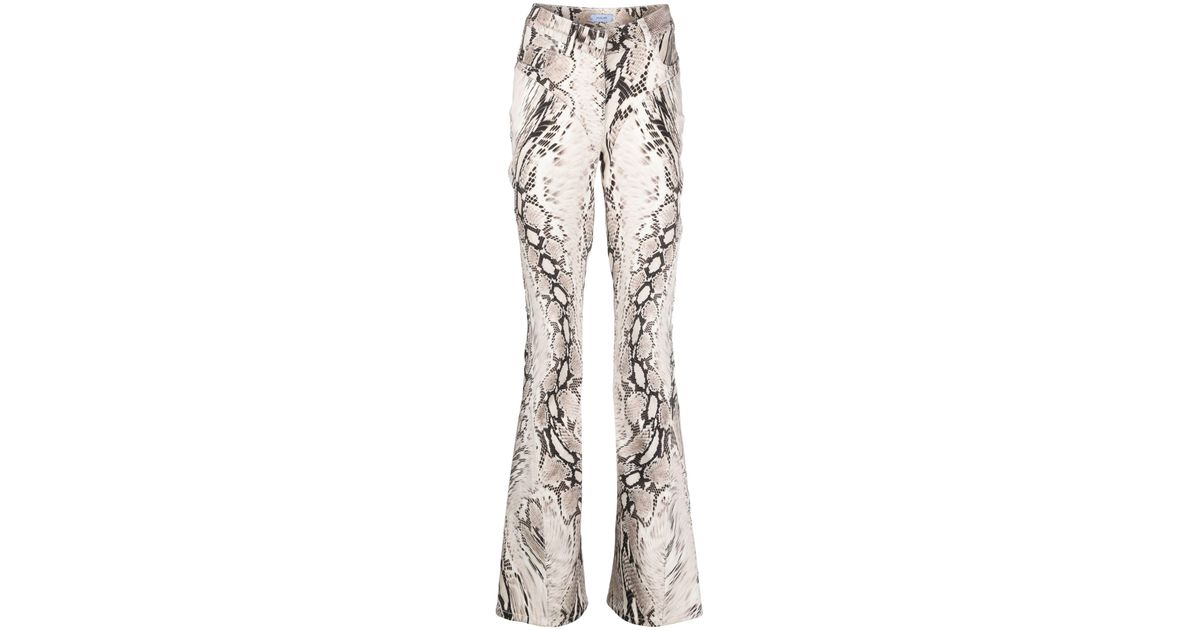 Snakeskin flare best sale
