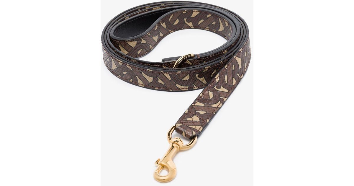 monogrammed dog leash
