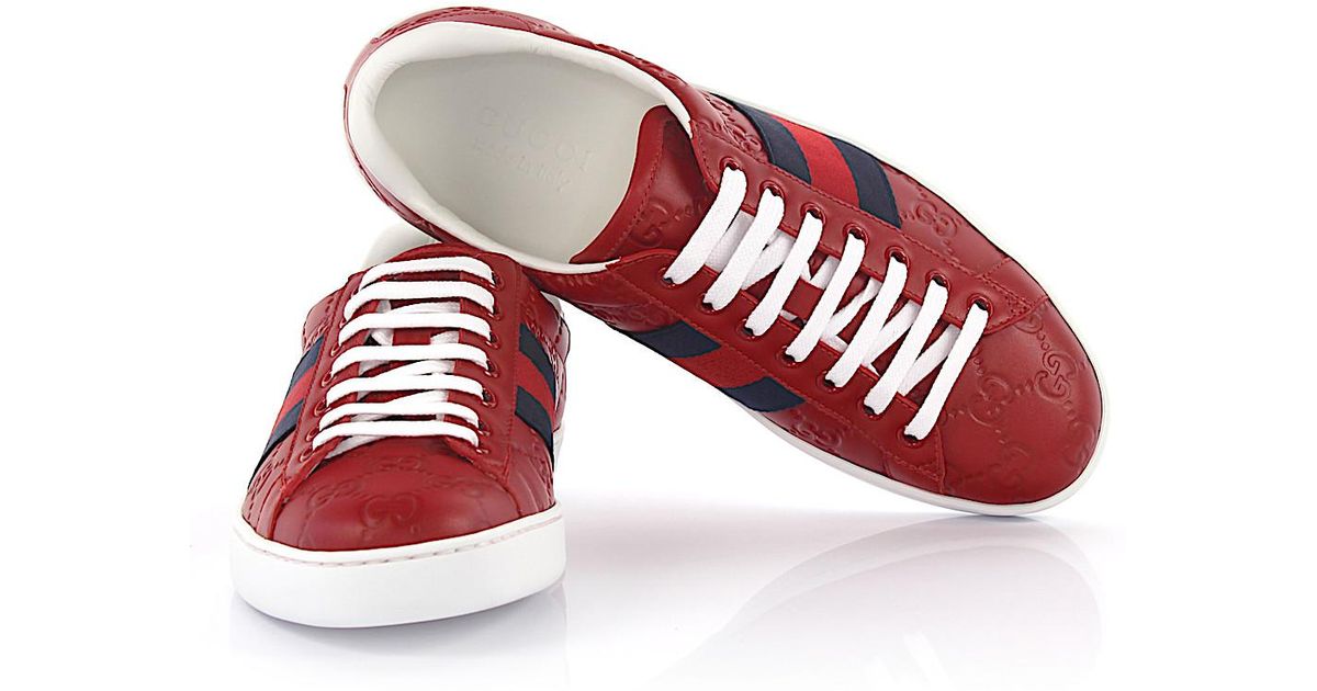blue and red gucci sneakers