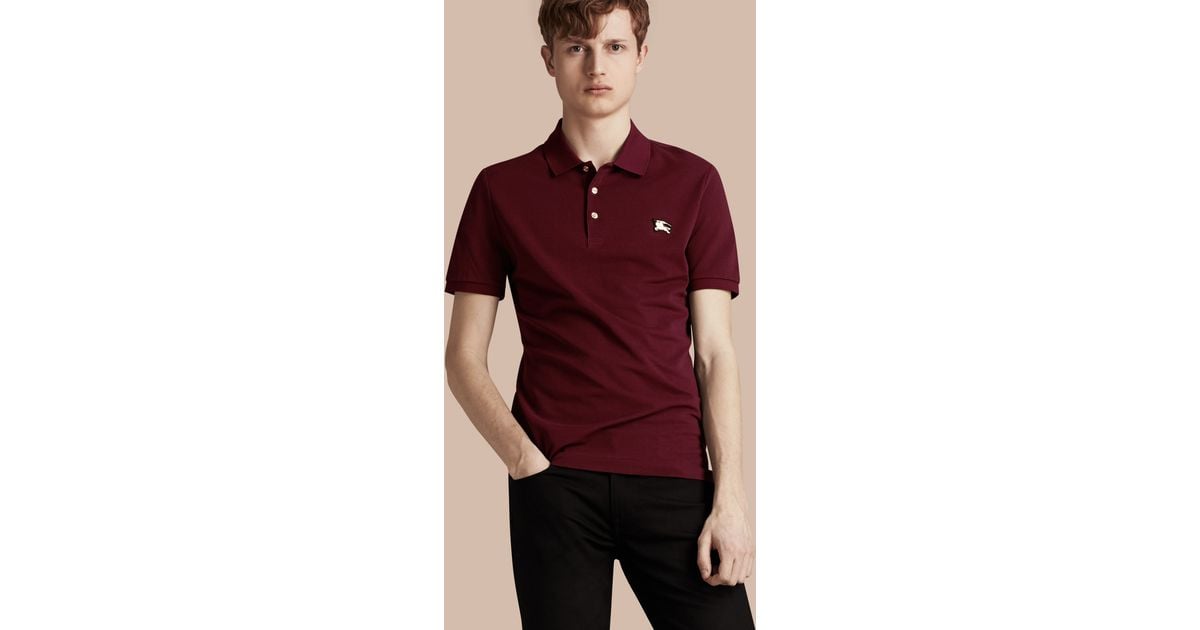 burgundy burberry polo