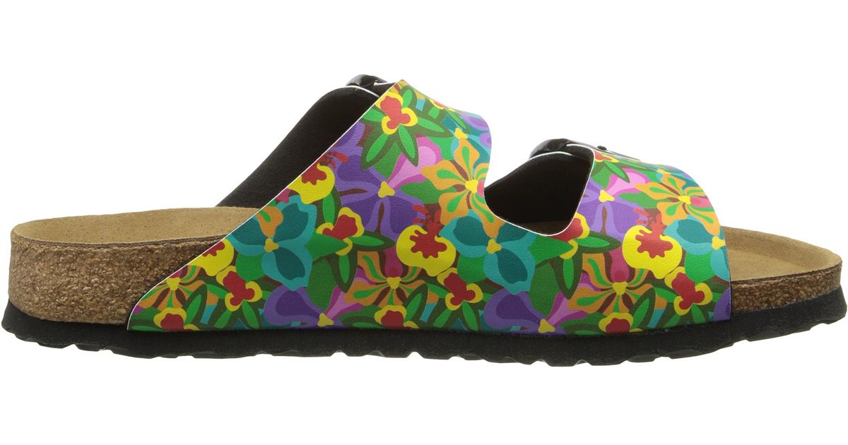 papillio birkenstock amazon