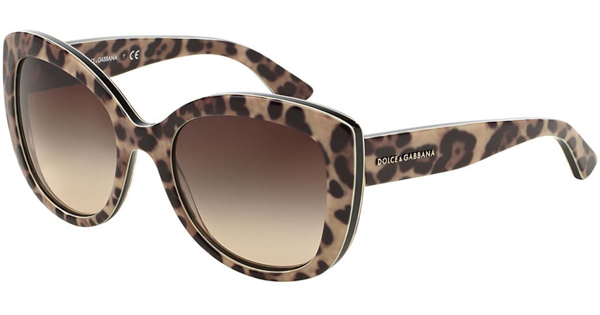 dolce and gabbana leopard glasses