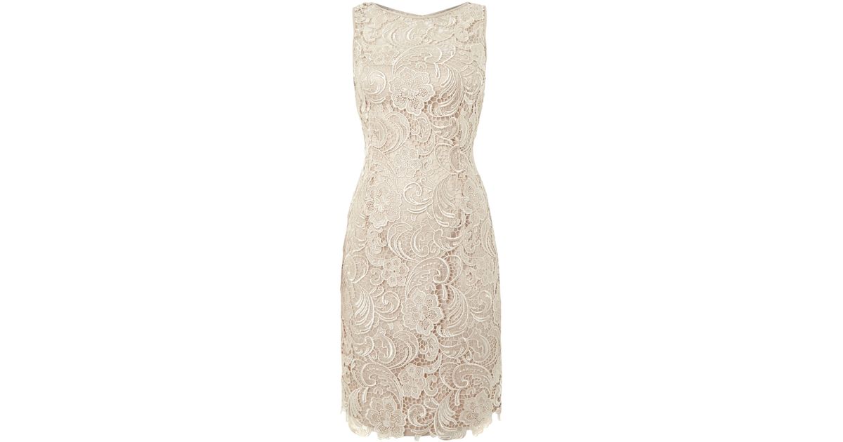Adrianna papell Sleeveless Guipure Lace Shift Dress in Beige (Champagne ...