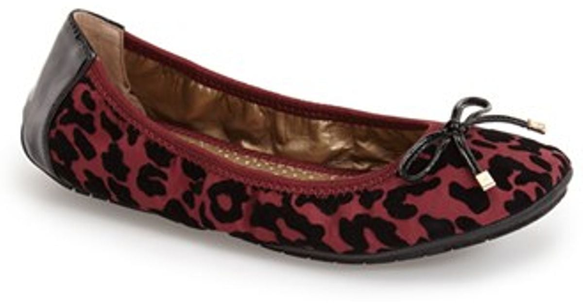 me too halle ballet flat leopard