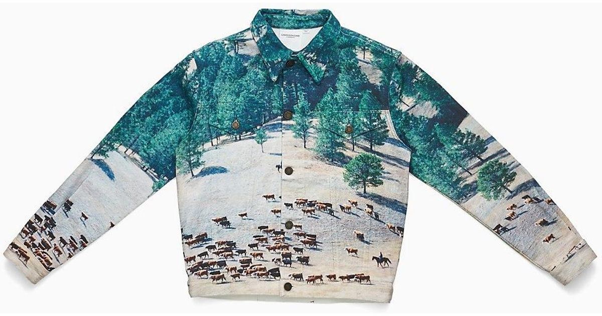 calvin klein landscape jacket