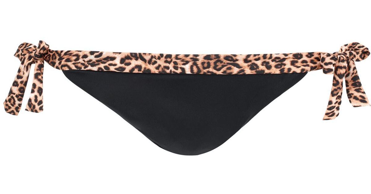 calzedonia animal print bikini