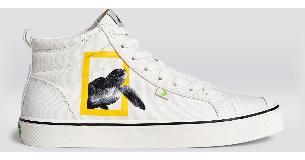 cariuma white canvas