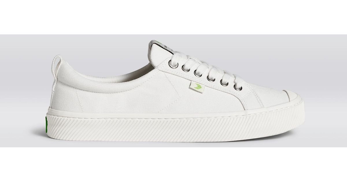 cariuma white canvas