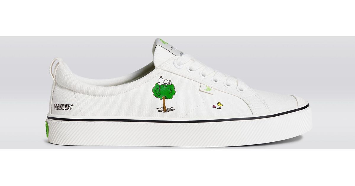 cariuma white canvas