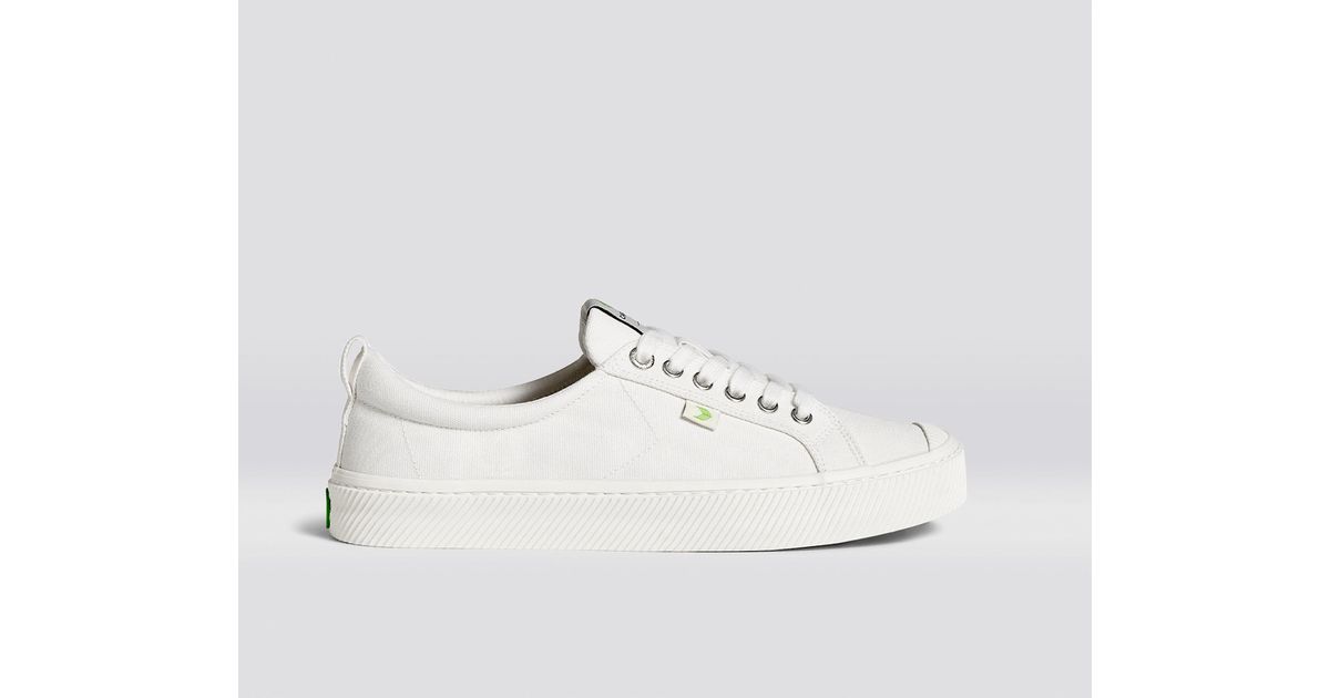 cariuma white canvas
