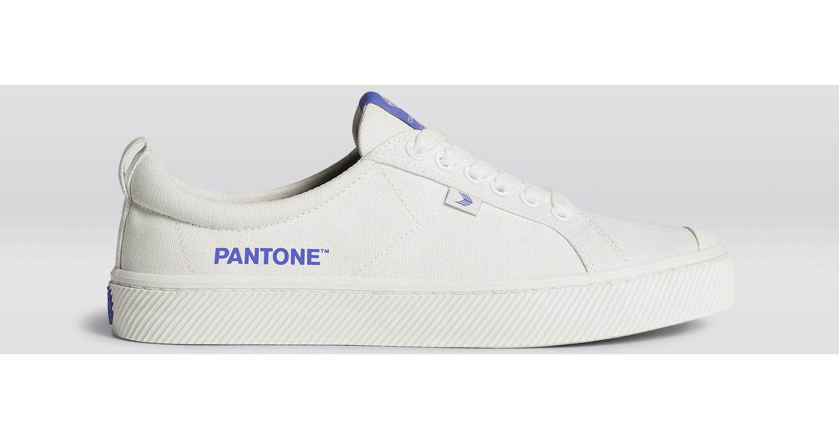 cariuma white canvas