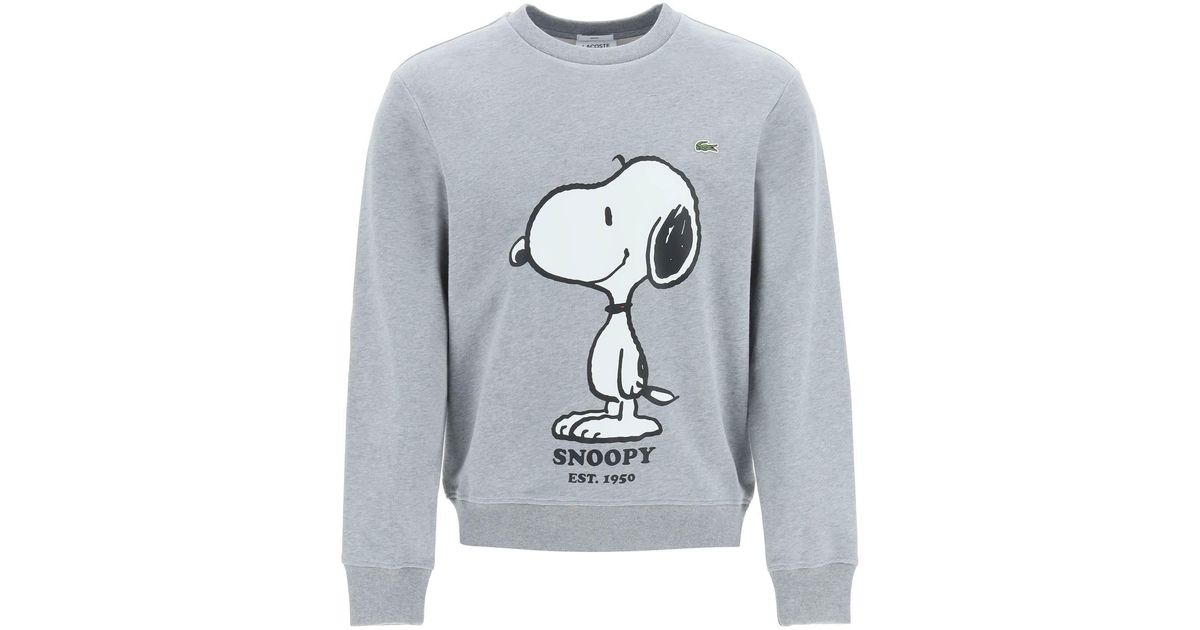 Lacoste Cotton Peanuts Print Crewneck Sweatshirt in Dark Grey (Grey