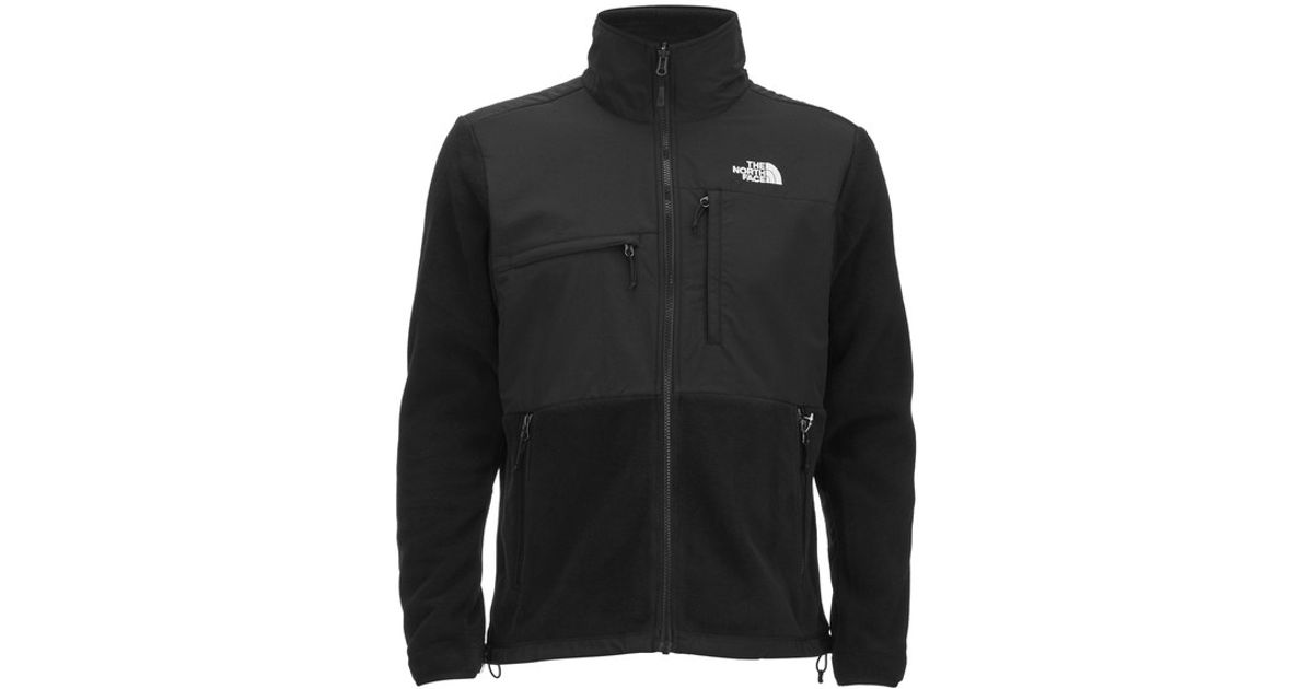 mens north face polartec jacket