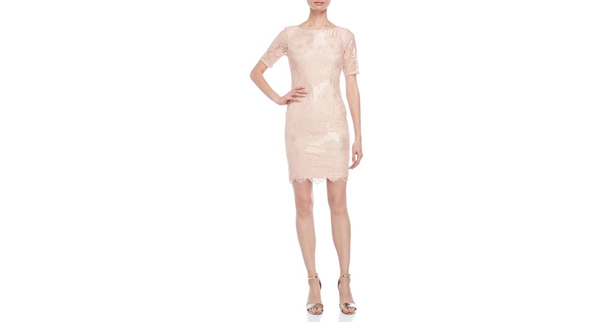 adrianna papell lace sheath dress blush