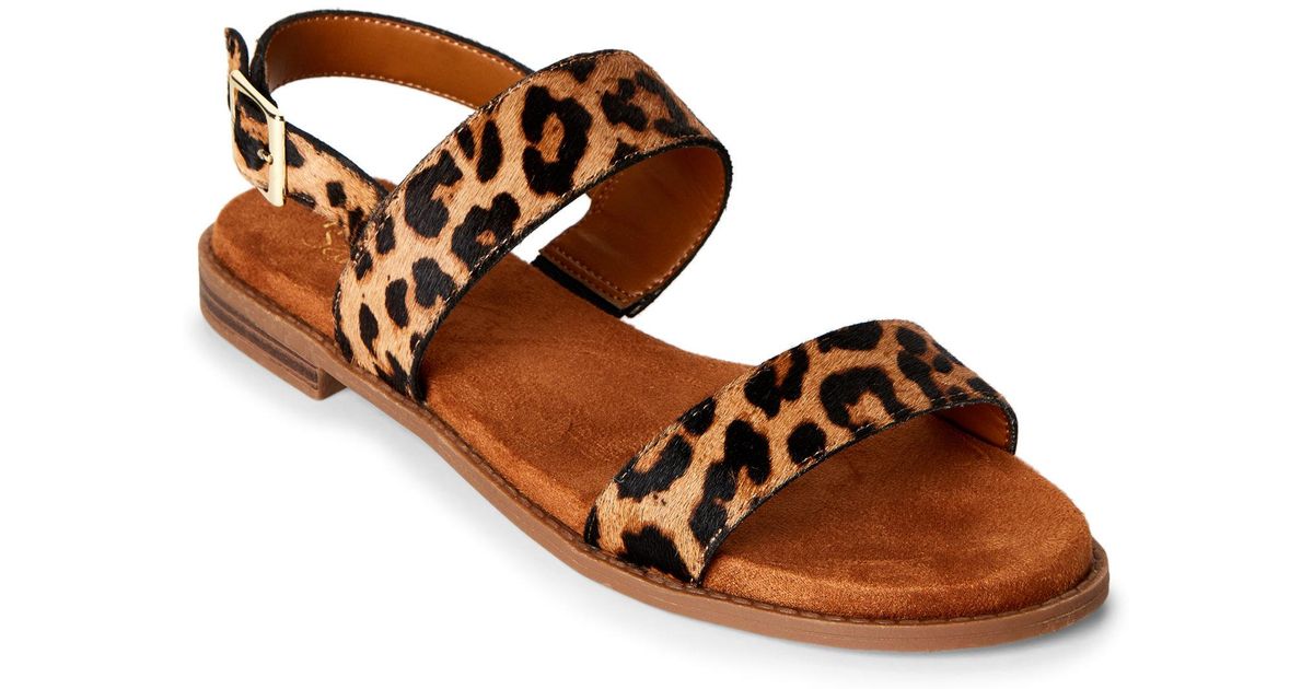 franco sarto velocity