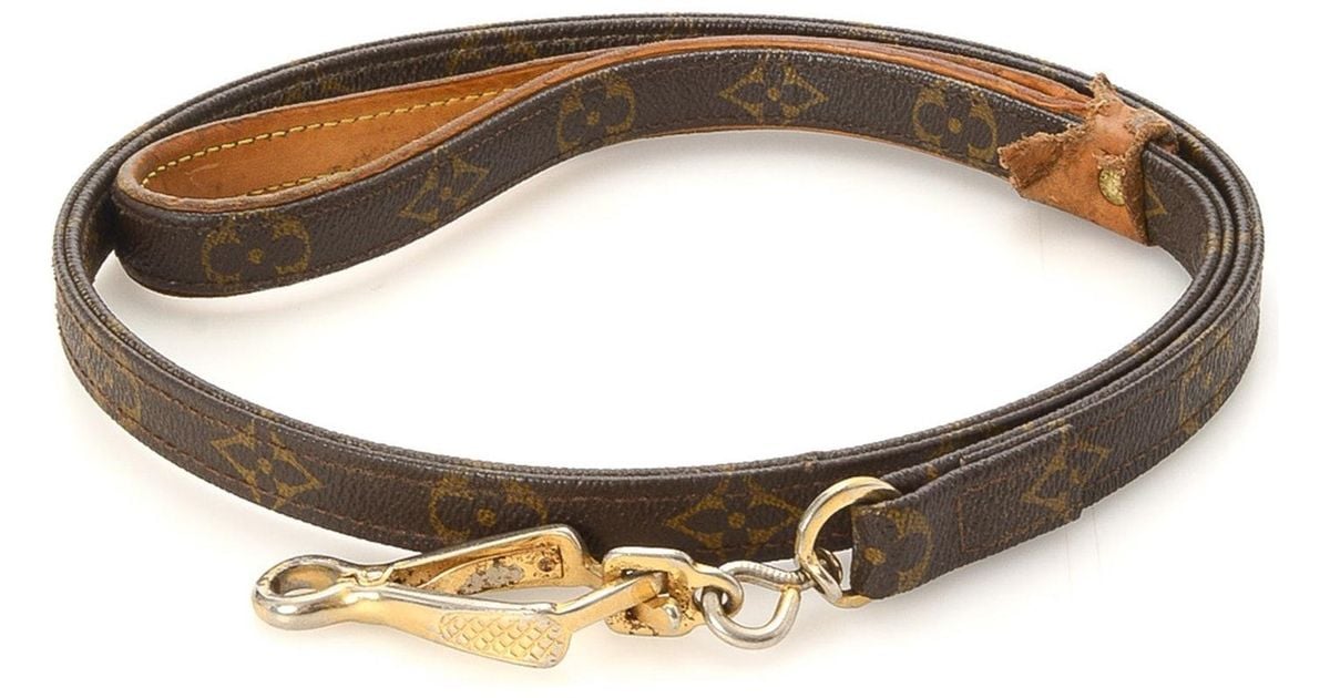Lv Dog Harness And Leash IUCN Water
