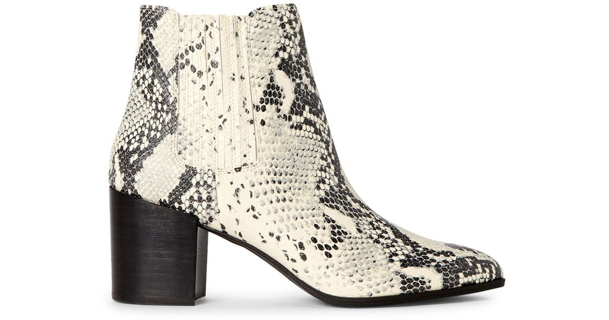 jain bootie steve madden