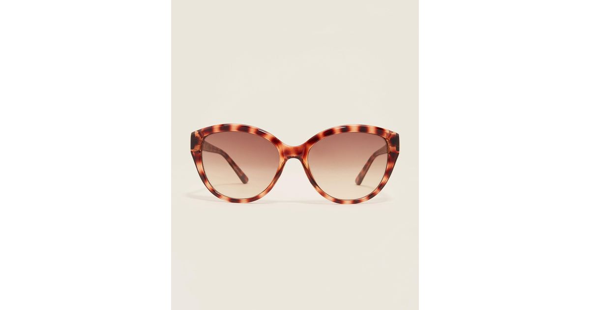 calvin klein tortoise shell sunglasses