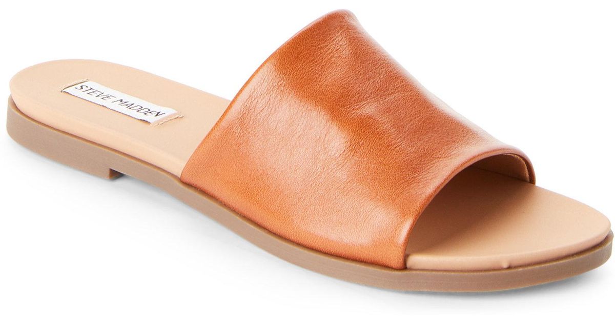 karolyn steve madden