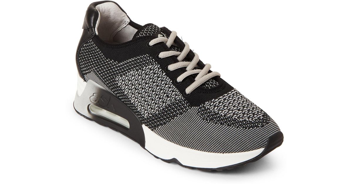 ash lucky knit sneaker