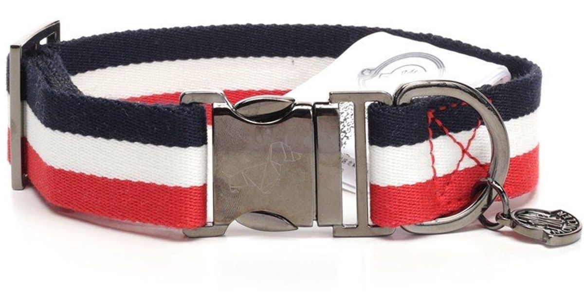 moncler dog collar