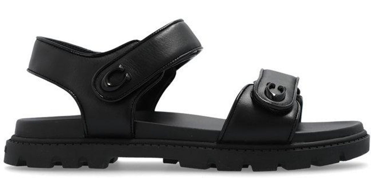 brynn riding boot coach