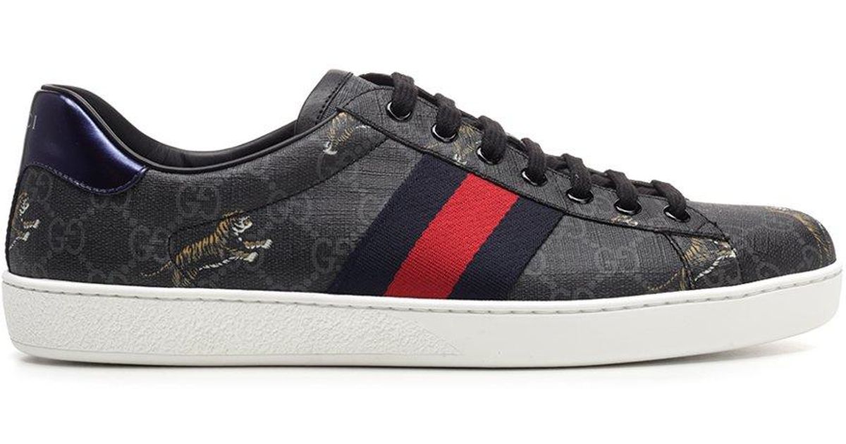 ace gg supreme sneaker price