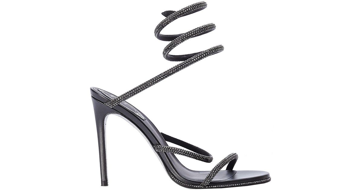 rene caovilla cleo black