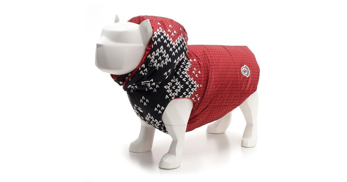 Moncler Genius Synthetic Moncler X Poldo Dog Couture Padded Jacket in