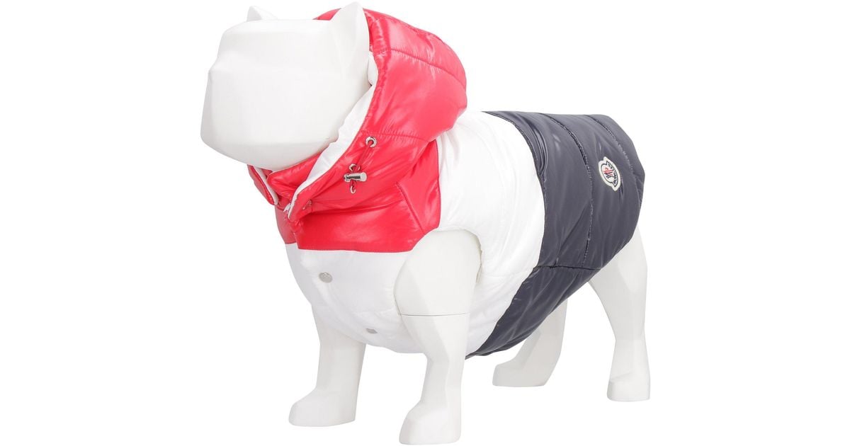 Moncler Genius Synthetic Moncler X Poldo Dog Couture Reversible Padded