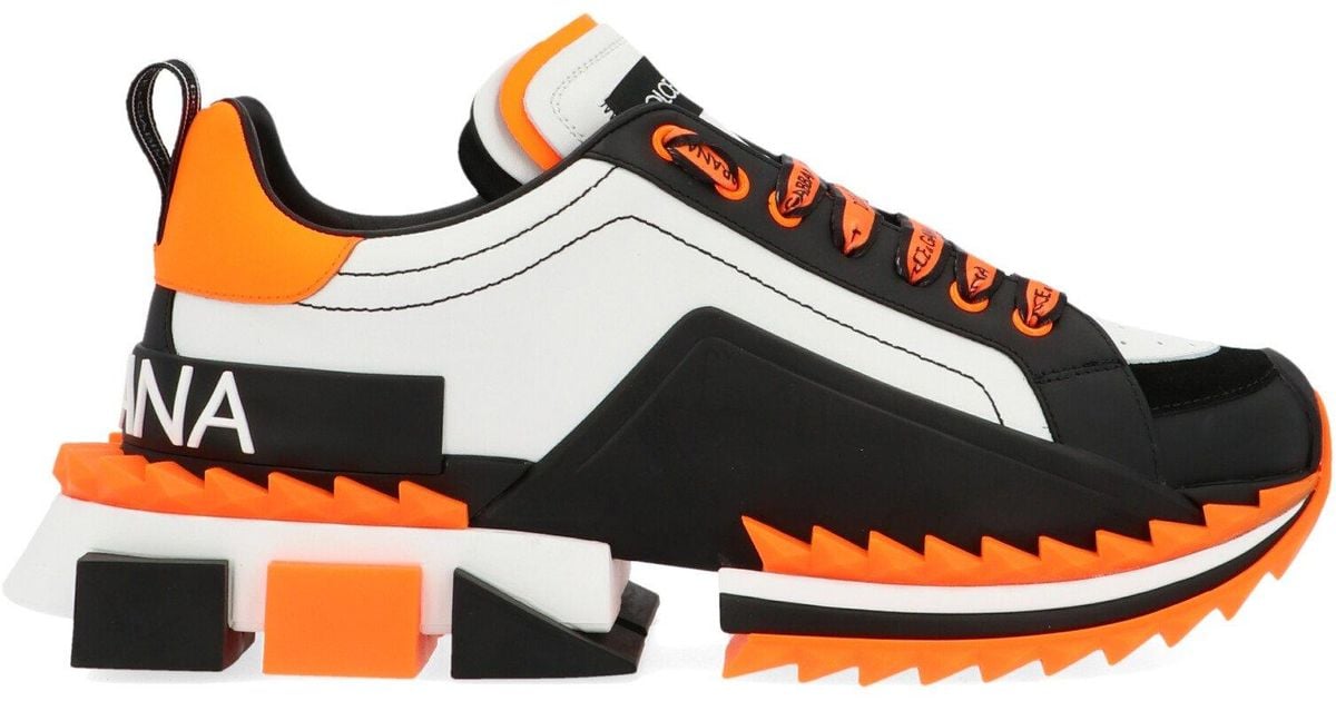 dolce & gabbana sneakers king