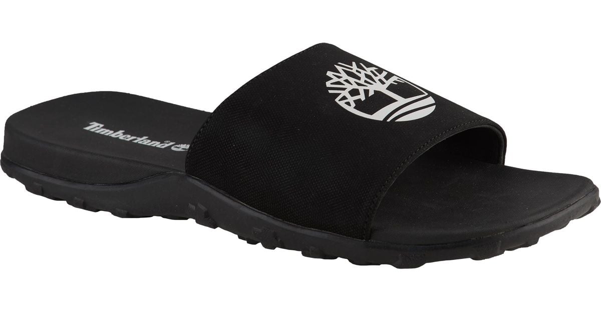 timberland fells trainer low noir