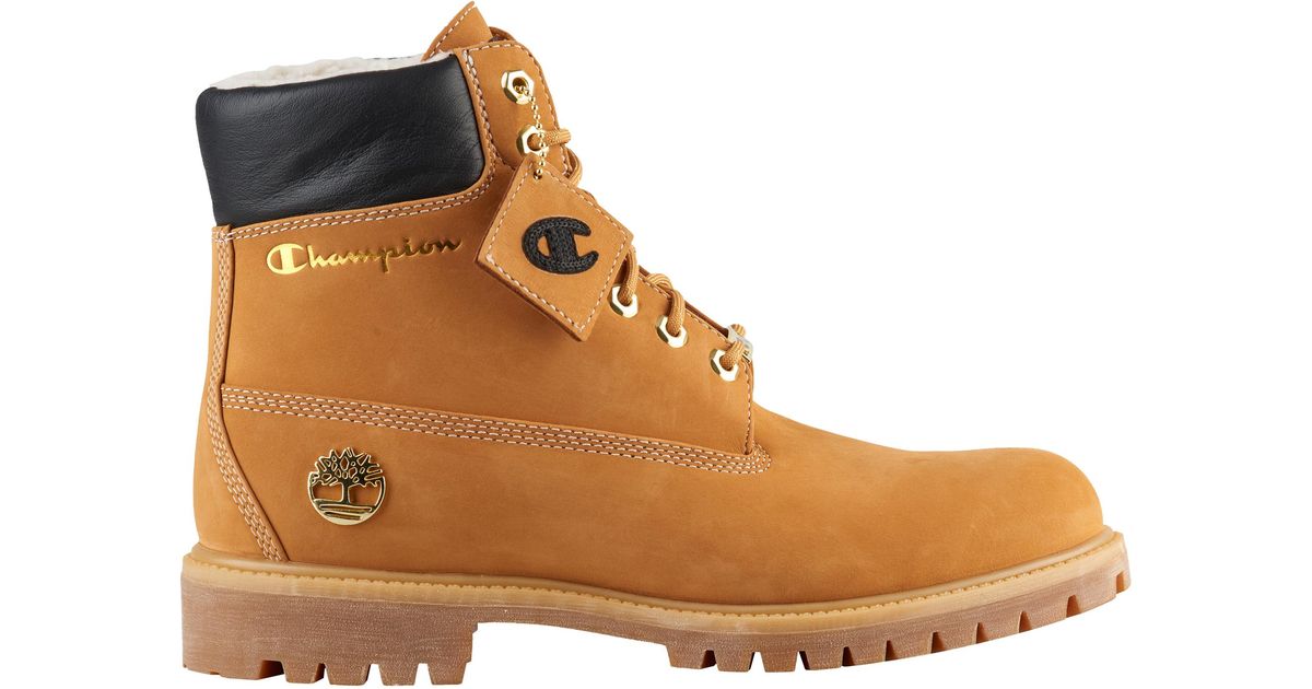 Timberland Leather X Champion 6 