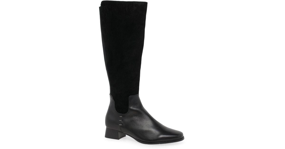 Regarde Le Ciel Thea 02 Long Boots in Black Lyst Australia