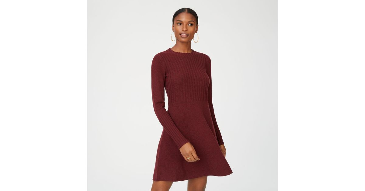 club monaco raemi sweater dress