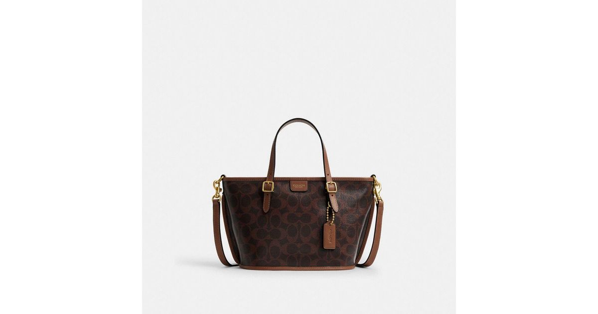 coach-Brassmaple-Sable-Taxi-