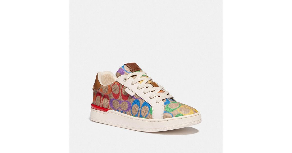 lowline low top sneaker in rainbow signature canvas